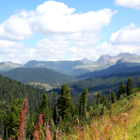 Александра Барышникова