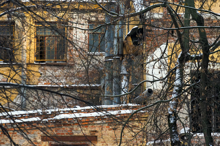 Заброшенное здание среди ветвей