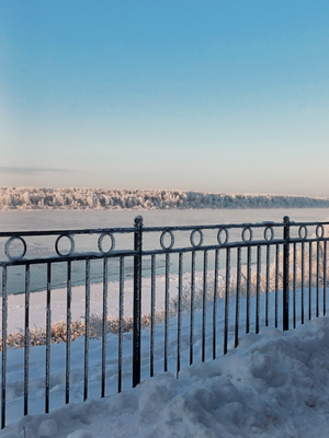 Зимняя нева