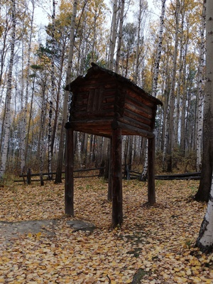 Лес