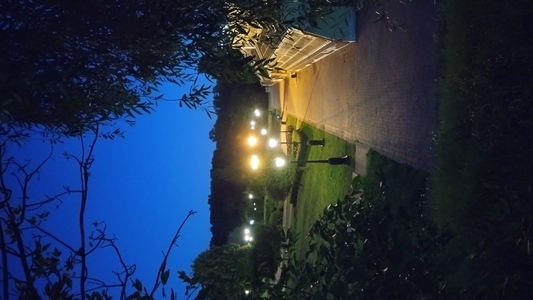 Оранжереи в царицино