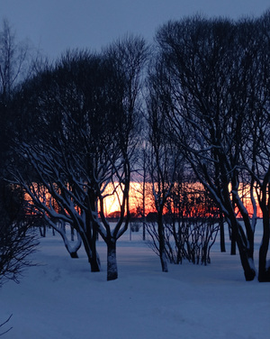 Зима в парке 300-т летия санкт-петербурга