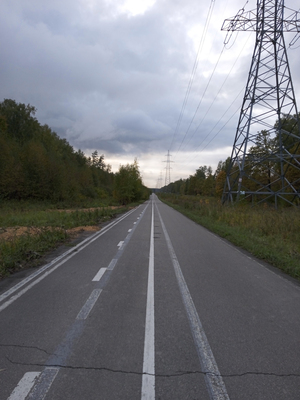 Дорога в лесу