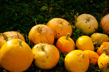 Хэллоуин на носу