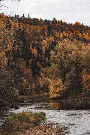 Pavlovka
