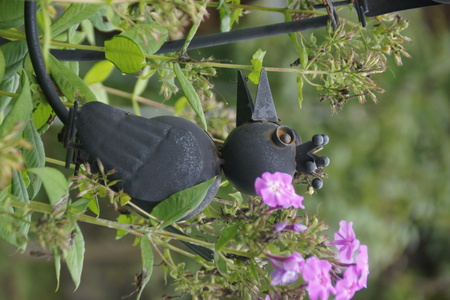 Птица в кустах