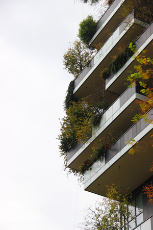 Милан_bosco verticale