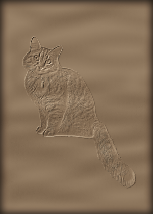 Котик