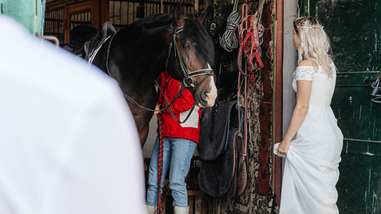 Невеста в конюшне