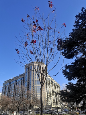 Жилой комплекс тургенев