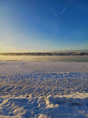 Зимняя нева