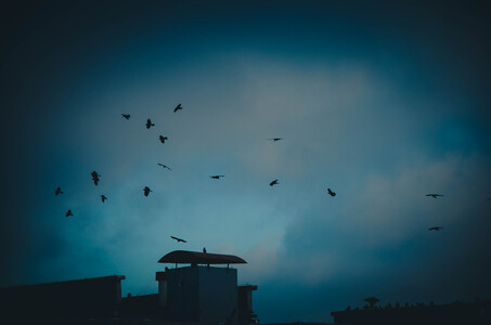 Здоровье / Медицина>