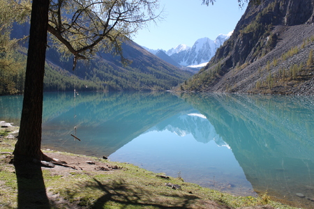 Алтай