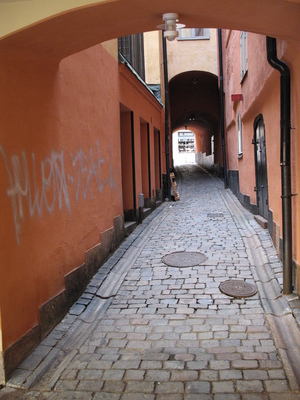 Виды стокгольма