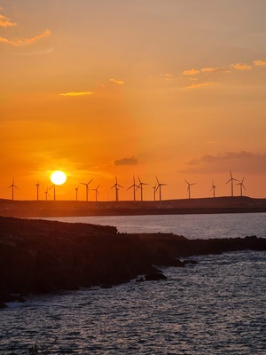 Наука / Технологии>