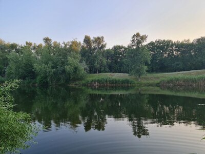 Волжская природа