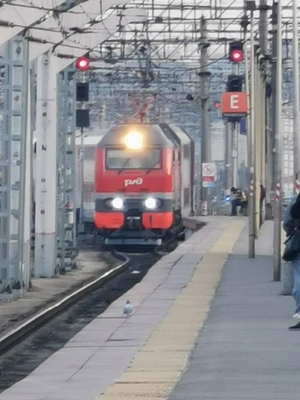 Светлана Аношина