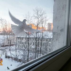 Момент полета