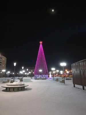 Елка