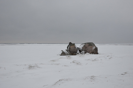 Зимний пейзаж
