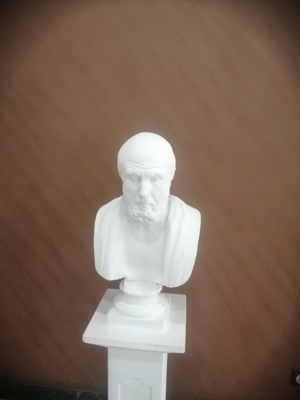 Бюст