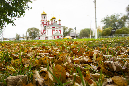Золотая осень