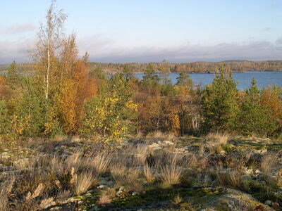 Осень на ладоге