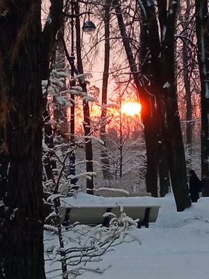 Зима в парке