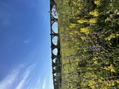 Мокринский мост