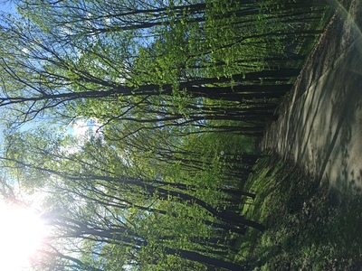 Пенза