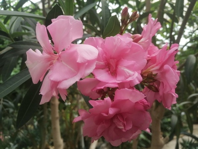 Андрей Тишин