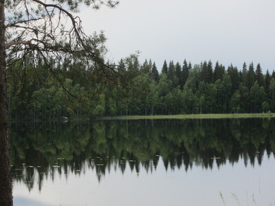 Пейзаж с озером