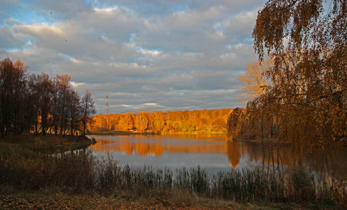 Золотая осень в рязанском цпкио