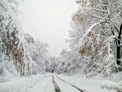 Дорога в нарнию