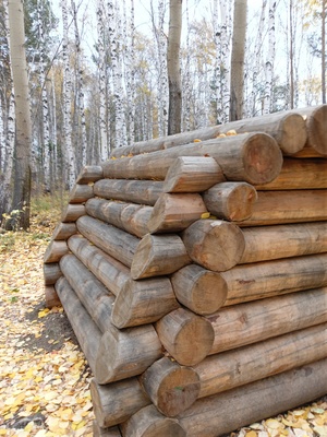 Лес