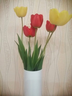 Тюльпаны