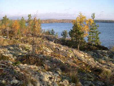 Осень на ладоге