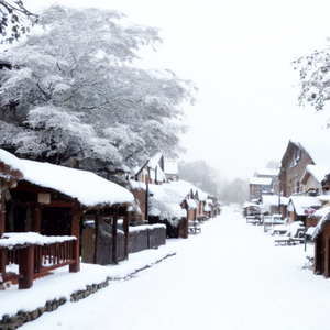 Snow in the village