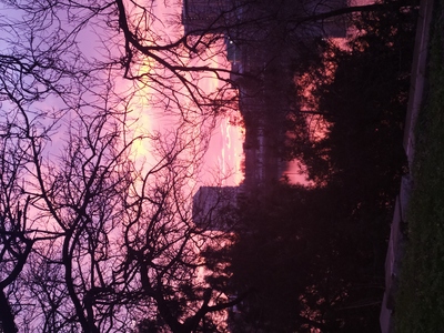 Путешествия>