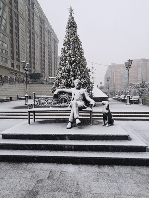 Новый год в краснодаре