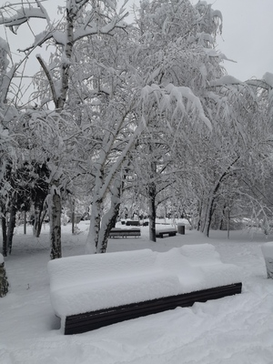 Зимний парк