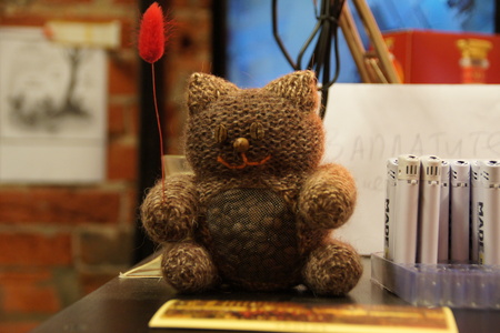 Кофейный котик