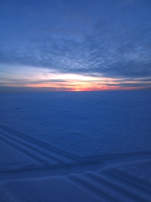 Следы на снегу