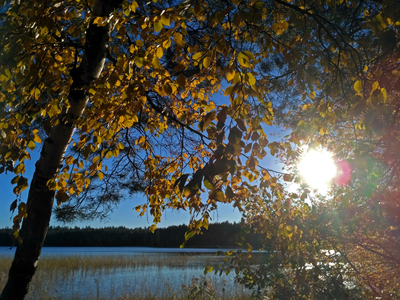 Осень на берегу озера