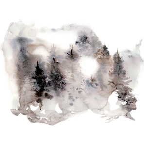 Светлана Волоснова