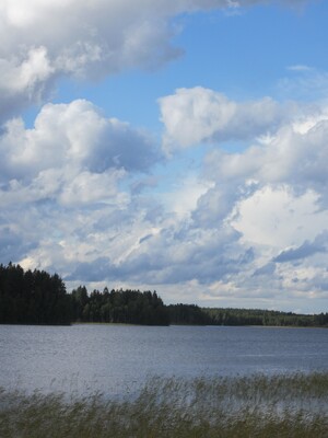 Пейзаж с озером