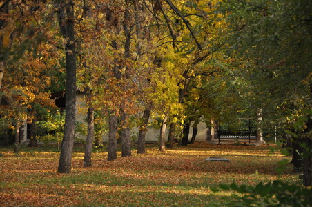 Осенний парк