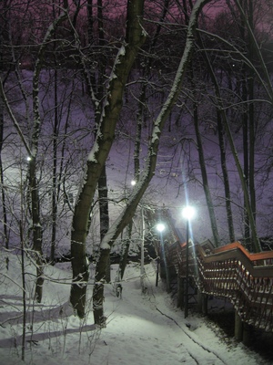 Вечер в парке