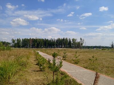 Поле