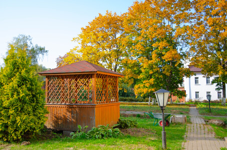 Осень золотая